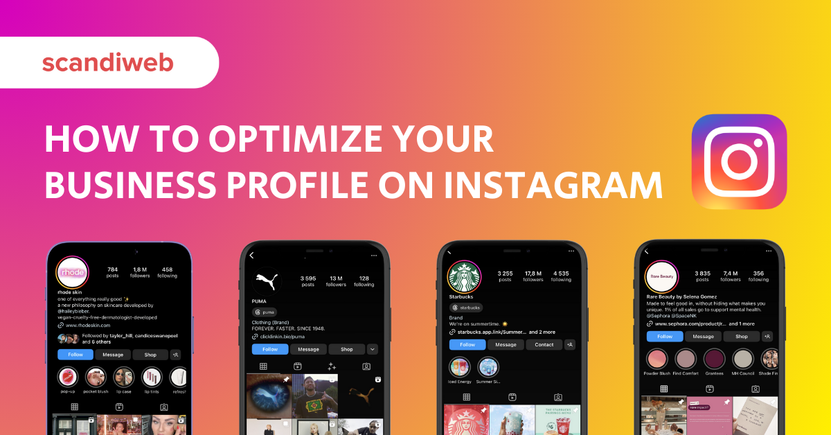 Instagram Precision Customer Acquisition: User Characteristics Introduction